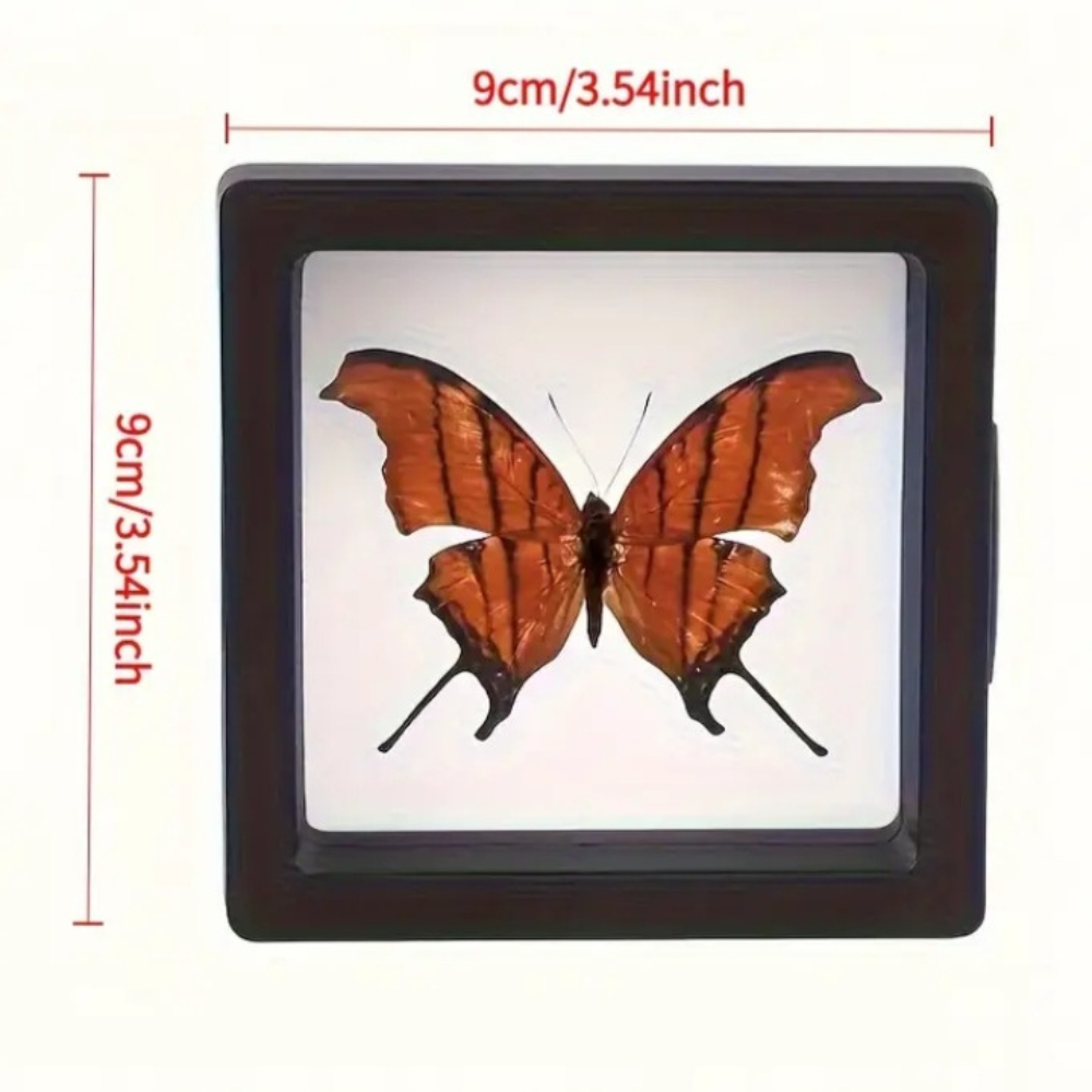 🌸 Boucles d’oreilles en bois motif fleurs avec écrin élégant - AM ASSYREM